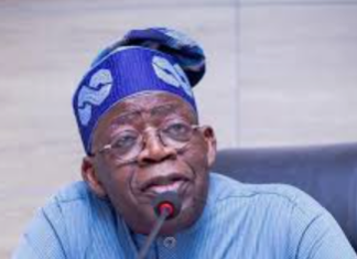 Tinubu reverses Adekanmbi’s appointment as HYREP Coordinator, reinstates Zabbey