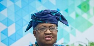 WTO chief, Okonjo-Iweala, sounds alarm on global trade