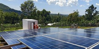 Why businesses should consider solar power