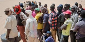 4,800 Nigerian illegal migrants rescued in seven years – IOM