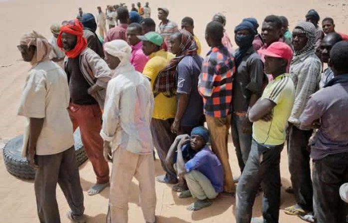 4,800 Nigerian illegal migrants rescued in seven years – IOM