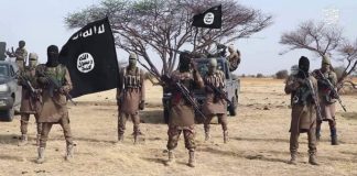 Boko Haram, ISWAP insurgents killed 109 in six months