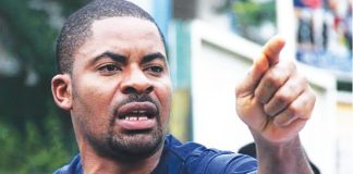 Don't allow the #EndBadGovernanceInNigeria protest to degenerate, Adeyanju tells FCT CP