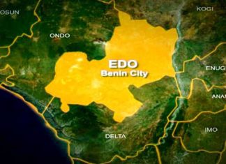 FG empowers 500 tomato farmers in Edo