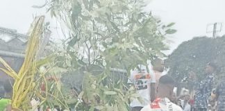 Herbalist protest in Rivers