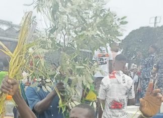 Herbalist protest in Rivers