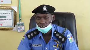 Kano police arrest 260 suspects, urge residents to obey 24-hour curfew