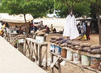 Katsina traders count losses, lament low patronage