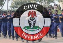 NSCDC apprehends additional 11 suspected looters in Kano