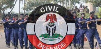 NSCDC apprehends additional 11 suspected looters in Kano