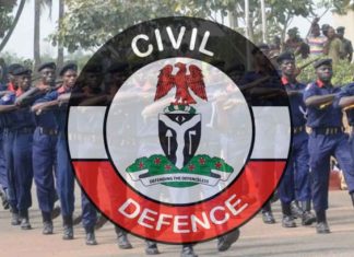 NSCDC apprehends additional 11 suspected looters in Kano