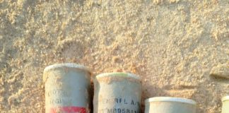 Police defuse grenades, as herdsmen chop off farmer's hands in Borno