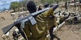 Suspected herders attack farmers in Plateau, injure four