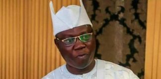 Use OPC to tackle insecurity, Gani Adams tells FG