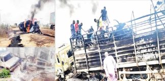 48 passengers, 50 cows killed in Niger tanker fire