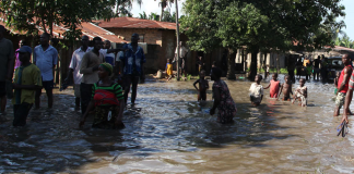 49 dead, 226 communities destroyed in Kano flood