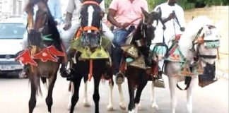 Borno residents dump cars for horses, trekking over high fuel price