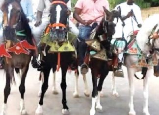 Borno residents dump cars for horses, trekking over high fuel price