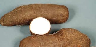 Court jails man six months for stealing three yam tubers