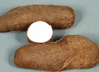 Court jails man six months for stealing three yam tubers