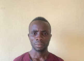 Dismissed soldier nabbed for defrauding job seekers in Bauchi