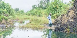 Environmentalists demand prompt response to Bayelsa community oil spill