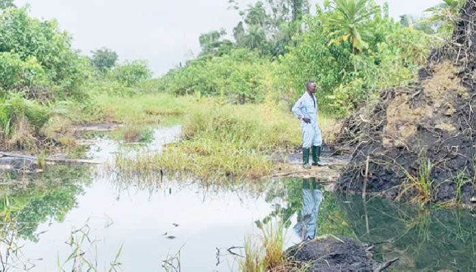 Environmentalists demand prompt response to Bayelsa community oil spill