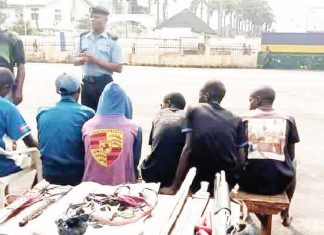 Five kidnap suspects arrested in Imo, victim rescued