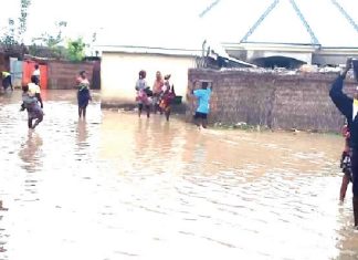 Flood displaces 5,392, grounds businesses in Sokoto, Adamawa LGs