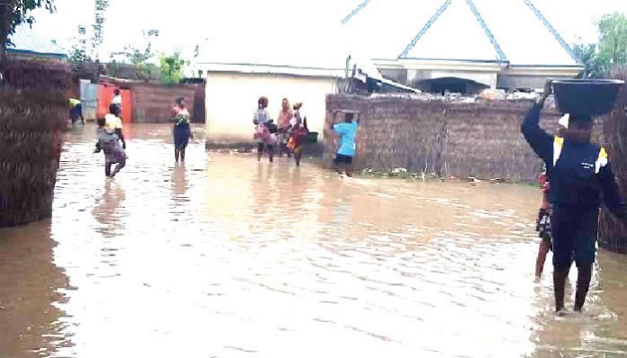 Flood displaces 5,392, grounds businesses in Sokoto, Adamawa LGs