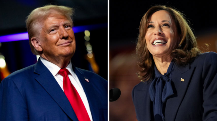 From abortion rights to immigration, highlights of Trump, Harris presidential debate