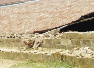 Lagos lawmaker to rehabilitate damaged school after PUNCH report