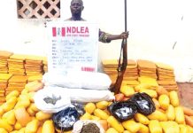 NDLEA arrests ex-convicts, wanted drug kingpins