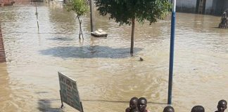 Nigerian military leads rescue efforts in flood-hit Maiduguri