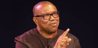 No glitch, no hitches, Peter Obi warns INEC