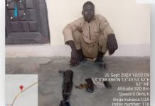 Notorious terrorist surrendered in Borno