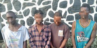 Ogun police arrest four suspected cultists