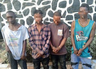 Ogun police arrest four suspected cultists