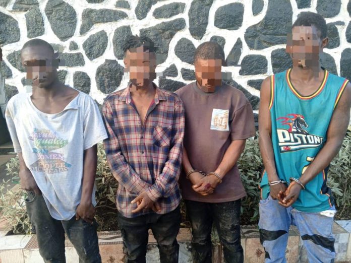 Ogun police arrest four suspected cultists