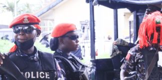 Police arrest fake cop for extortion in Adamawa