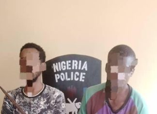 Police arrest two Bauchi varsity students for stealing TV, prayer mat