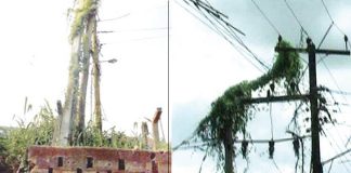 Police arrest two for transformer, cable thefts in Edo