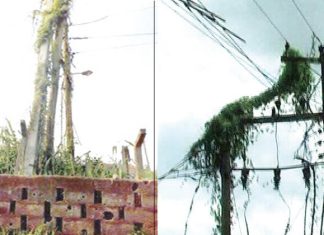 Police arrest two for transformer, cable thefts in Edo