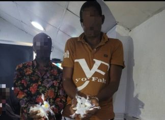 Two arrested with 120 wraps of suspected cocaine in Lagos