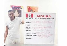 How 704kg marijuana was found in suspect’s truck – NDLEA