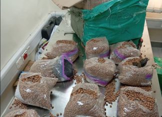 NDLEA uncovers cross-border drug syndicates, arrests six kingpins