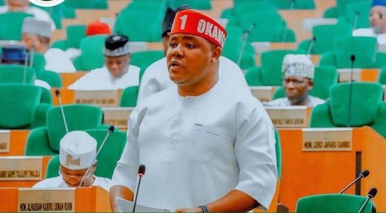 Beyond the Noise: Unpacking the Petition on Benue and Zamfara Assemblies