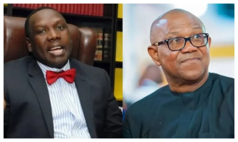 ‘Peter Obi Has Failed in Politics, Does He Even Grasp Democracy?’ – Tinubu’s Aide