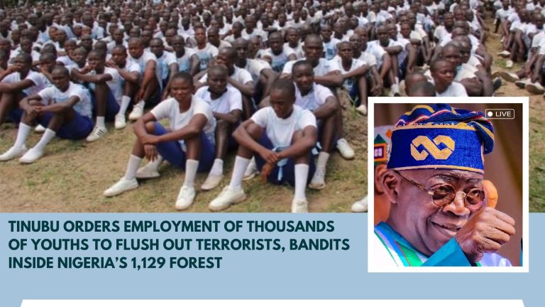 Tinubu Approves Mass Youth Recruitment to Combat Terrorists and Secure Nigerian Forests