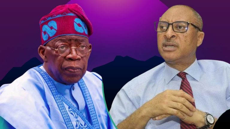 Presidential Aide Slams Pat Utomi: ‘Tinubu Is Branded a Tyrant Only When Desires Are Denied